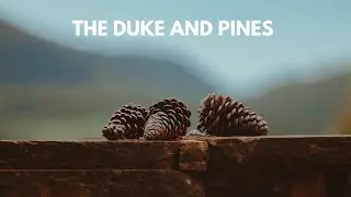 The Duke And Pines by Ryan Van Winkle and Ragland