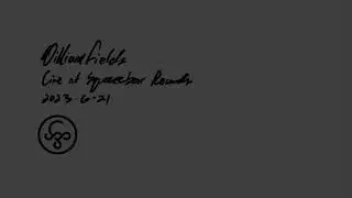 William Fields Live @ Squeezebox Records 2023-6-21