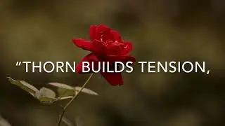 Steve Cain&rsquo;s &ldquo;Thorn&rdquo;-Teaser 1