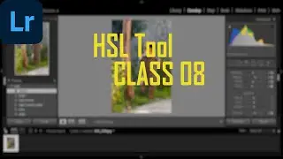 How to use the HSL panel in Adobe Lightroom Classic