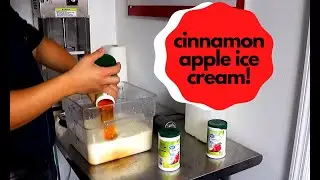 Cinnamon Apple Ice Cream Custard with Electro Freeze!