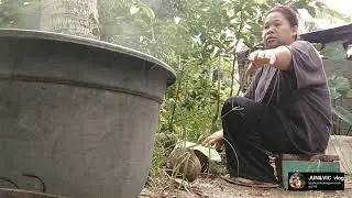 Simple living in the countryside of Phil. simpleng pamumuhay@junvicsimplengpamumuhay1748
