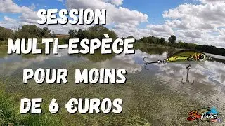 Session Multi-Espèce avec un leurre à moins de 6 €uros. HD