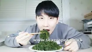 Kai Kai Sea Grapes People Eating