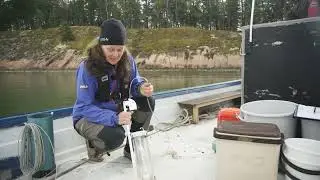 Kouluttaudu ympäristönhoitajaksi