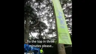 Arb show 2012