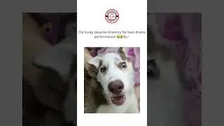 #ComedyVideos #FunnyGhana  #ViralVideos #TrendingNow #FunnyContent #FollowForLaughd #RelatableHumor