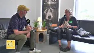 Hund Katze Specht mit Mario Specht  | 24.07.2021
