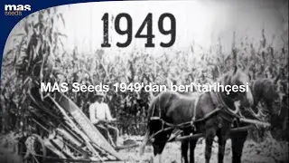 MAS Seeds Tarih&ccedil;esi