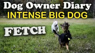 Hardcore Fetch - A Dogs Life Video