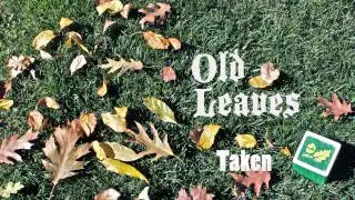 Old Leaves - Taken