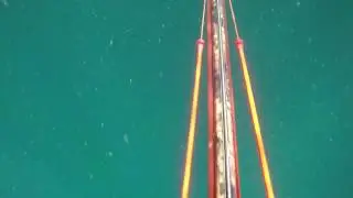 Spearfishing pollock at 20metres start of the season.