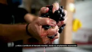 Jumilla DOP: Donde prospera la uva Monastrell.