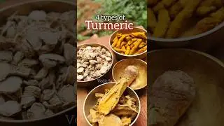 4 types of Turmeric/ चार प्रकार की हल्दी/Ancient Ayurvedic Gold herb #shorts