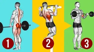 Hypertrophy Training for Beginners. EXERCISE ORDER To Build More Muscle