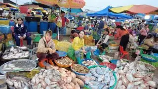 Amazing Fish Distribution Market | Live Fish, Fresh Fish, Seafood, Lobster & More