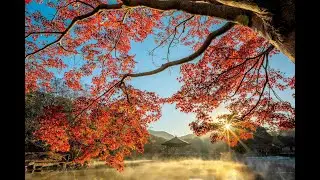 [🍂🍄 F&ecirc;te de l'Automne ! Ciel d'automne - Autumn Sky - Aki Hiyori - 秋日和 🍄🍂]