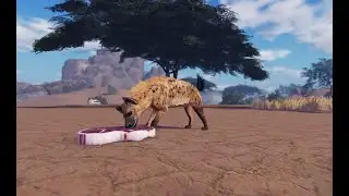 Small Hyena Revamp & Daily EE Shenanigans: ROBLOX