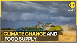 Environmental impacts of food production | WION Climate Tracker