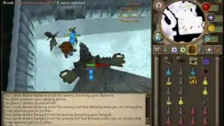 Armadyl Plateskirt solo!