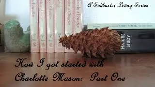 Charlotte Mason for Beginners |  My Homeschool Journey