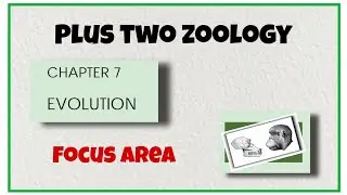 +2 Zoology | Evolution | Focus area
