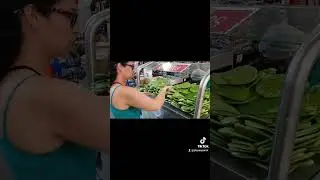 Do you know what are nopales?