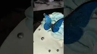 edible butterfly cake #trending #youtubeshorts #shortvideos #viral #cakedesign  made by Khanzadi