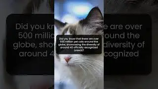 Unveiling the incredible diversity of 40 unique cat breeds loved by millions