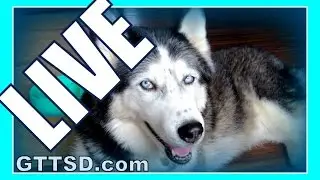 PREVIOUSLY LIVE with the SNOW DOGS of GTTSD 100k Celebration (& Giveaways)