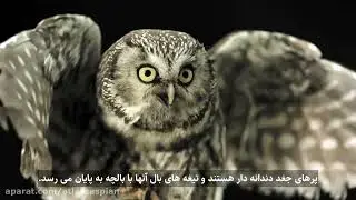 فن خنک کننده در کمپرسور GA VSD