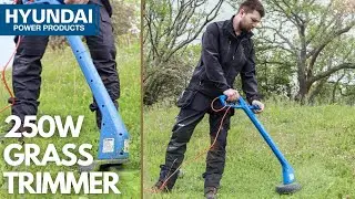 Lightweight Grass Trimmer for Garden Maintenance for Smaller Gardens - The Hyundai 250W HYTR250E