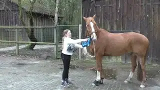 Schrecktraining mit Campino