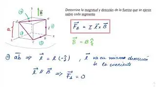 Problema de Fuerza Magnética sobre una Espira