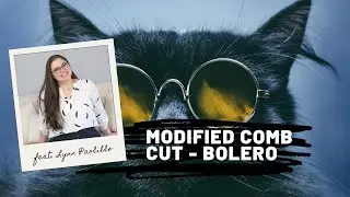 Modified Comb Cut Haircut Demo with Lynn Paolillo