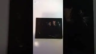 flugor(f&ouml;rsta videon)