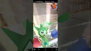 Roselia Community Day, Live From A Truck | M-Page Plays Pokemon GO LIVE!!!