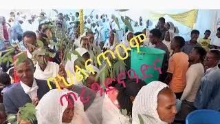 Party 2 Eritrean gayla  ሞራጉዛ❤️