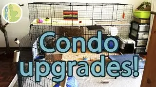 Upgrading the Rabbit Condo | DIY NIC Cage upgrade