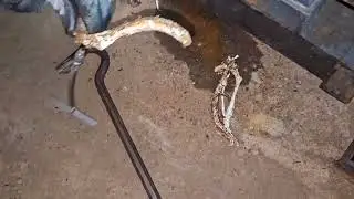 그랜드 패킹 교체