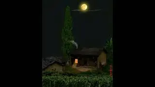 Night Amplifier #heartbreak #love #missu #nature