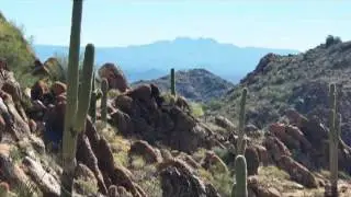 Wings over the Preserve - Introduction to the McDowell Sonoran Preserve