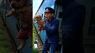 🐶 Poor puppy got thrown out of train 💔 emotional story #shorts #puppy