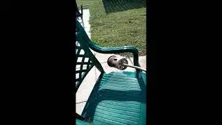 Restore plastic lawn chairs CHEAP!