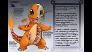 LOS SECRETOS DE POKEMON