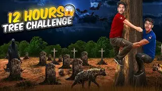 12 hours tree challenge 😱 | challenge video 2025 |forest challenge 
