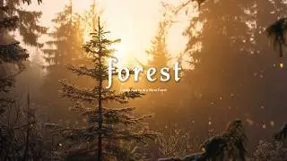 No Ads &bull; Golden Sunrise in a Silent Forest 🌲 Gentle Piano for Deep Sleep & Inner Peace | 1 Hour