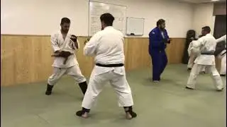 Striking and Bunkai Training - Koryu Uchinadi