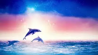 Megawolf77 - Cosmic Dolphin - High Pitch - F Major