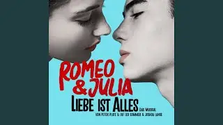 Lass es Liebe sein (feat. Nico Went)